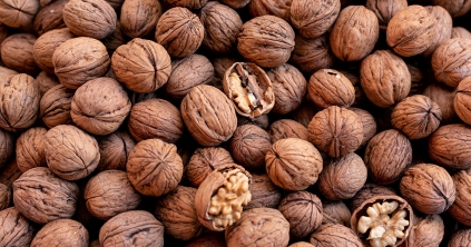 Dióhéjban a dióról